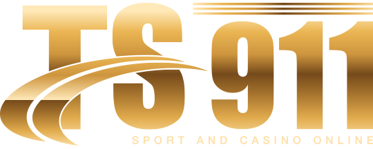 logo-ts911